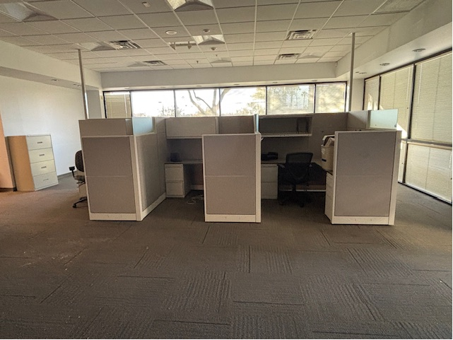 Office Clearout For Surgical Partner Office